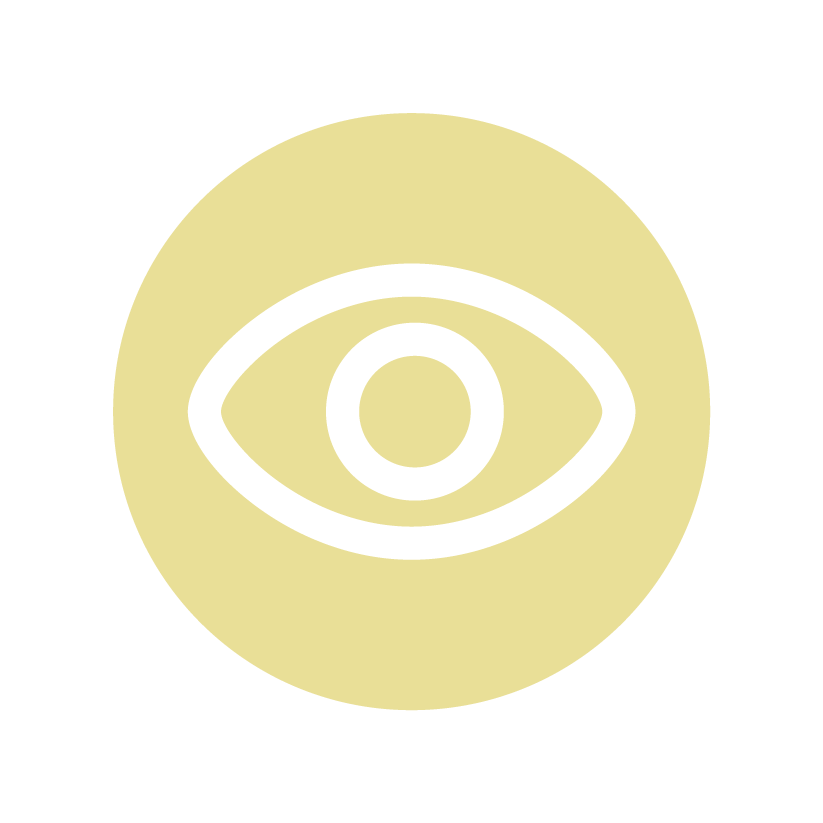 ASCY_Icons_Final_RGB_Vision